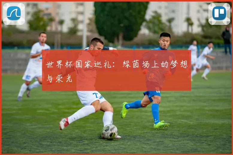 世界杯国家巡礼:绿茵场上的梦想与荣光