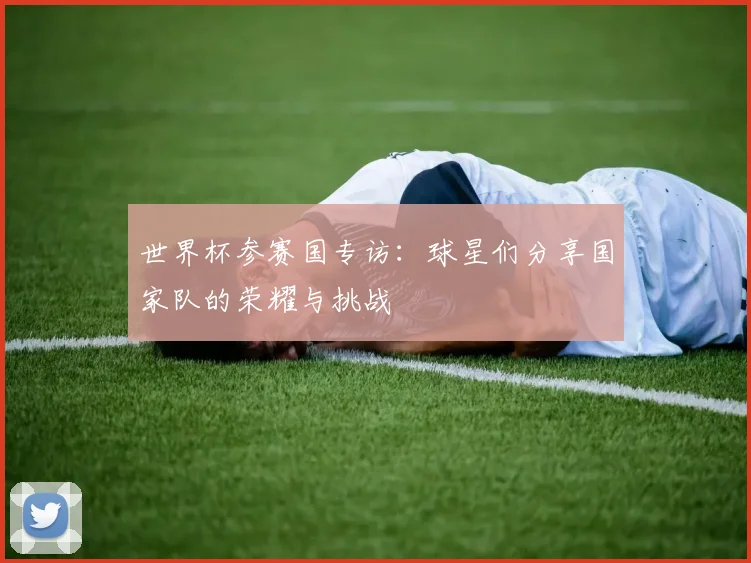 世界杯参赛国专访：球星们分享国家队的荣耀与挑战