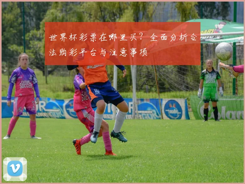 世界杯彩票在哪里买？全面分析合法购彩平台与注意事项