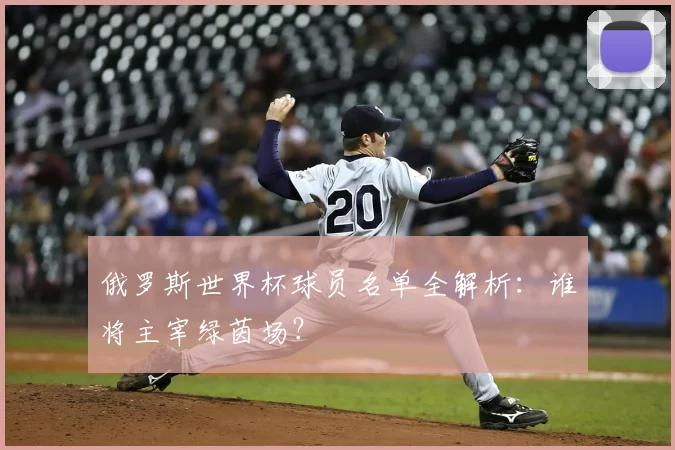 俄罗斯世界杯球员名单全解析：谁将主宰绿茵场？