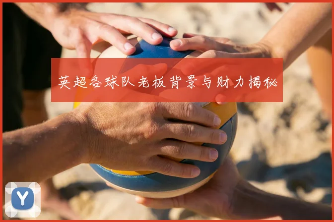 英超各球队老板背景与财力揭秘