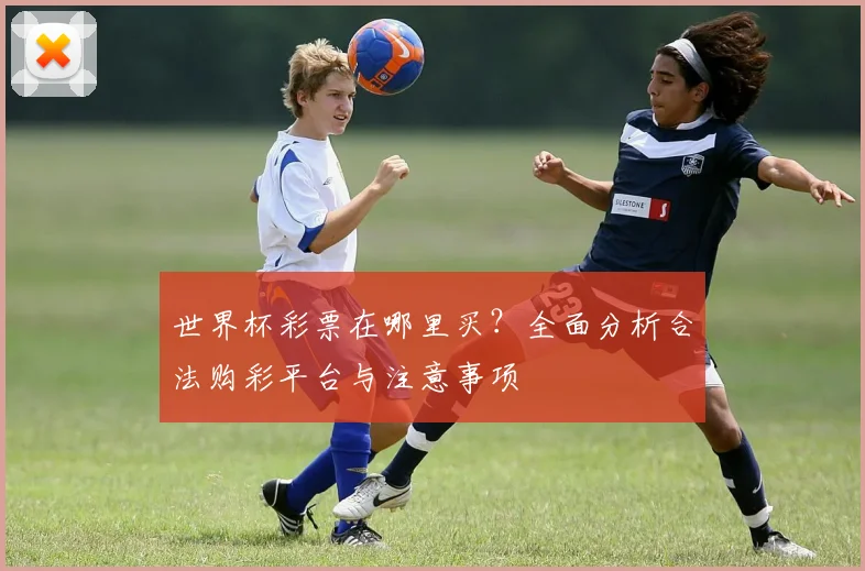 世界杯彩票在哪里买？全面分析合法购彩平台与注意事项