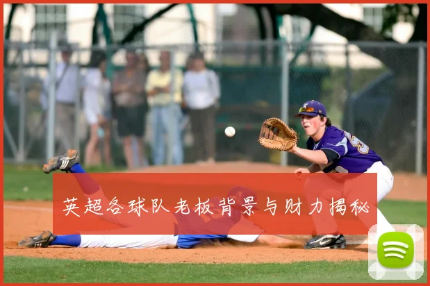 英超各球队老板背景与财力揭秘