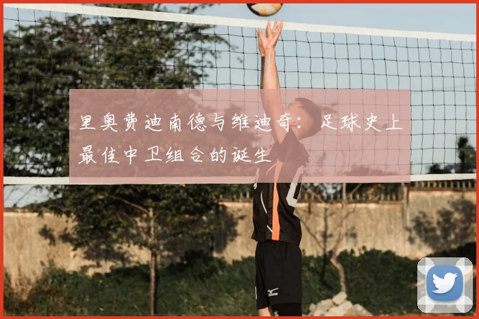 里奥费迪南德与维迪奇：足球史上最佳中卫组合的诞生