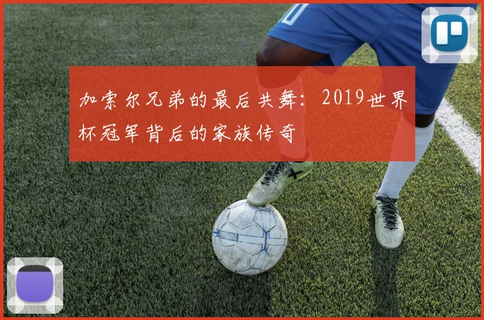 加索尔兄弟的最后共舞：2019世界杯冠军背后的家族传奇