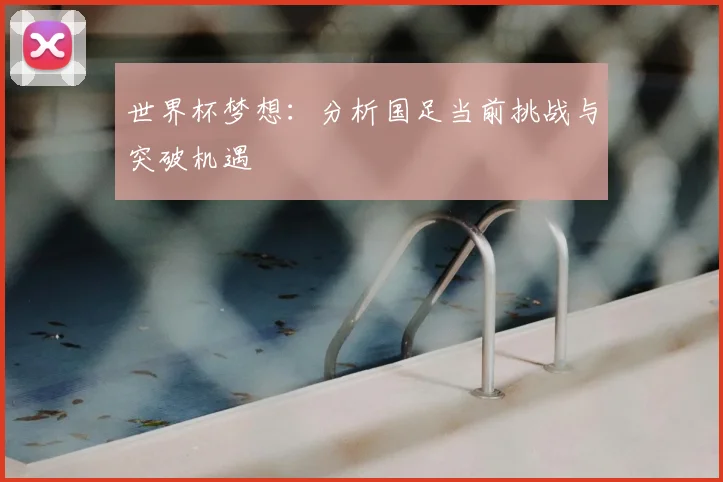 世界杯梦想：分析国足当前挑战与突破机遇